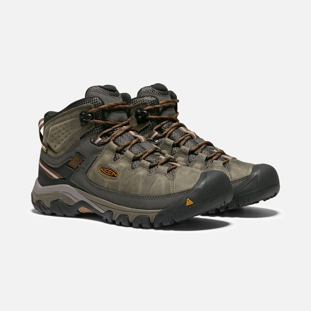 Bottes de Randonnée Keen Homme Vert Olive/Noir | Targhee Iii Waterproof Mid Wide | CAQKG-8693